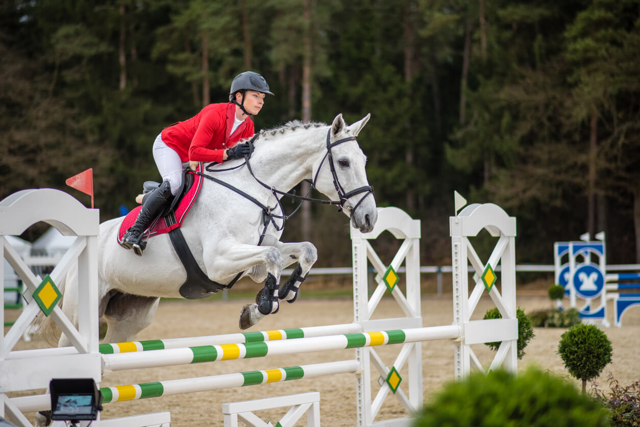 show jumping image