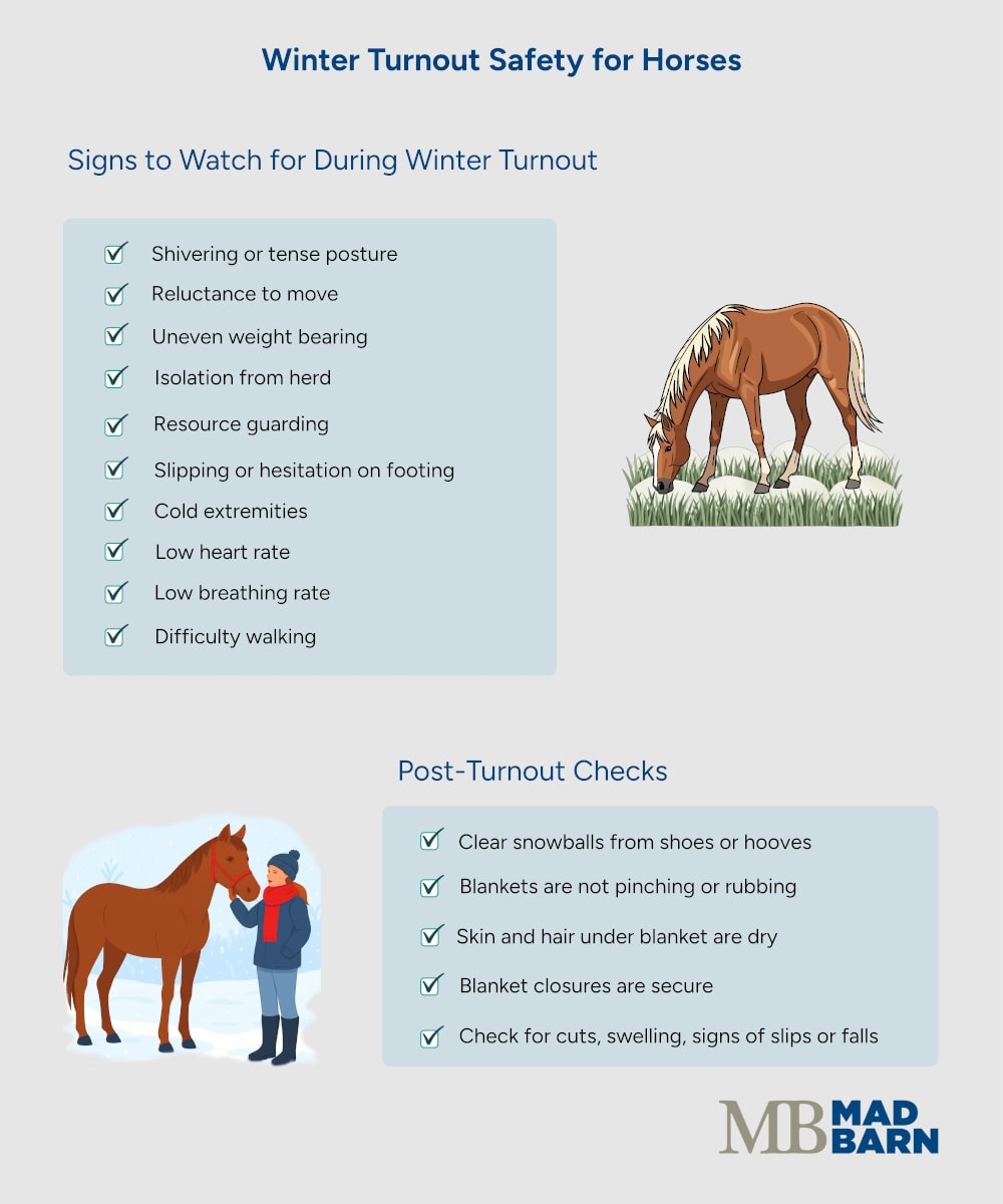 tips for monitoring horses during and after winter turnout