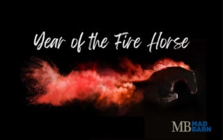 year-of-the-horse