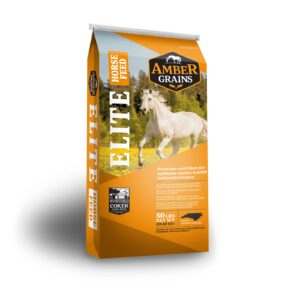 Amber Grains Elite Mare and Foal (Coker Feed Mill)