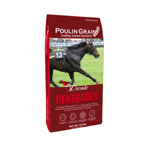 Decade RENEGADE-X (Poulin Grain)