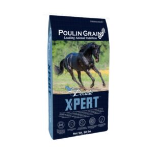 Decade X-PERT Super Bites (Poulin Grain)