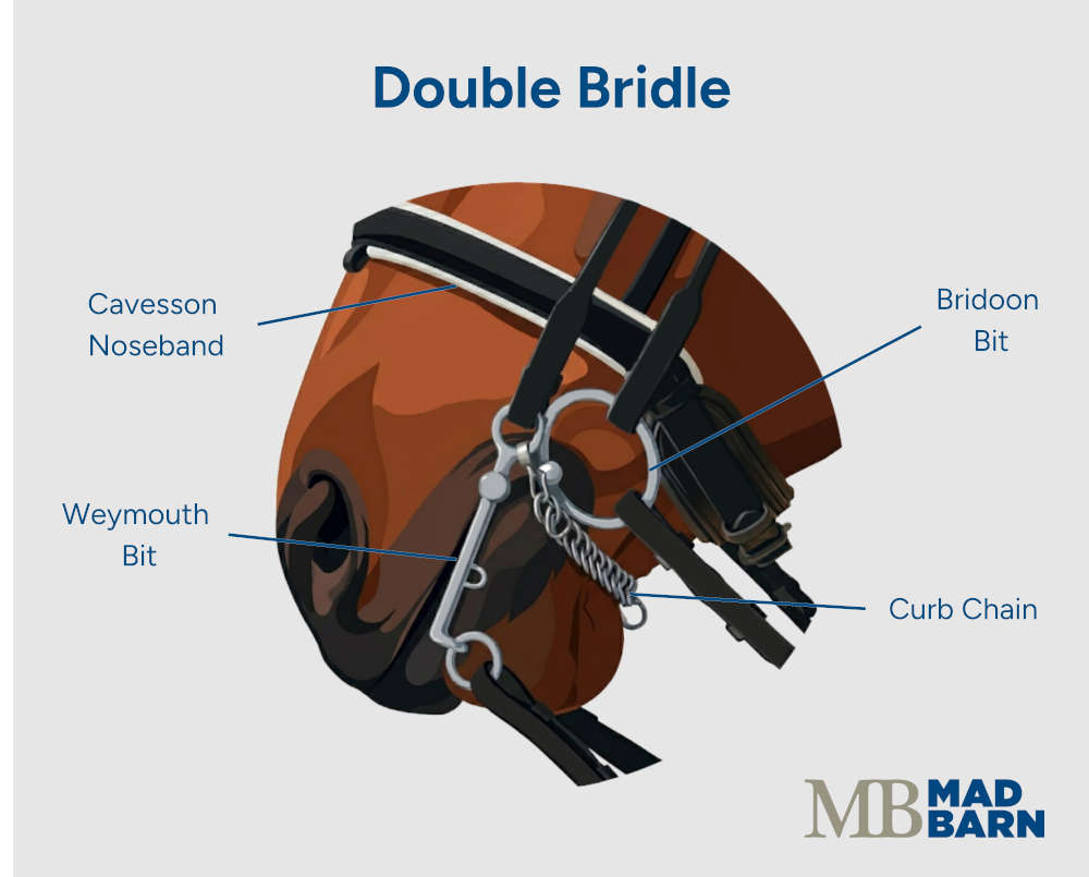illustration of the parts of a double bridle
