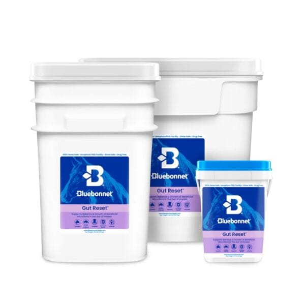 Gut Reset Powder (Bluebonnet Feeds)
