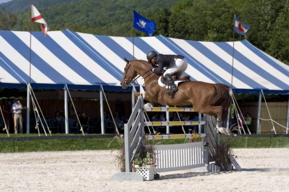 photo of a horse jumping over a very upright jump