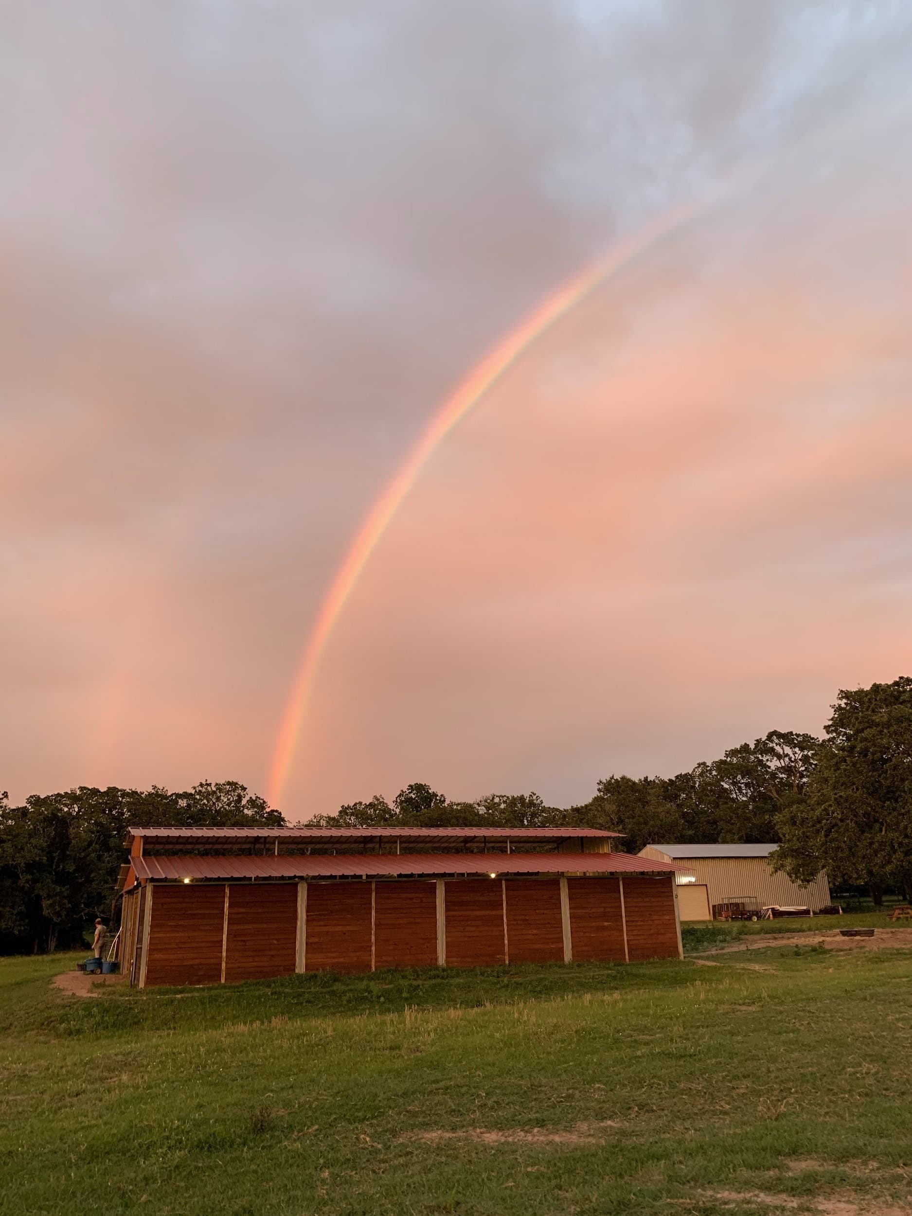 Lori Wright - Boarding Stable