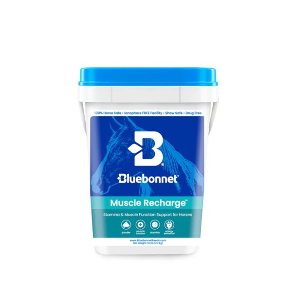 Muscle Recharge (Bluebonnet Feeds)