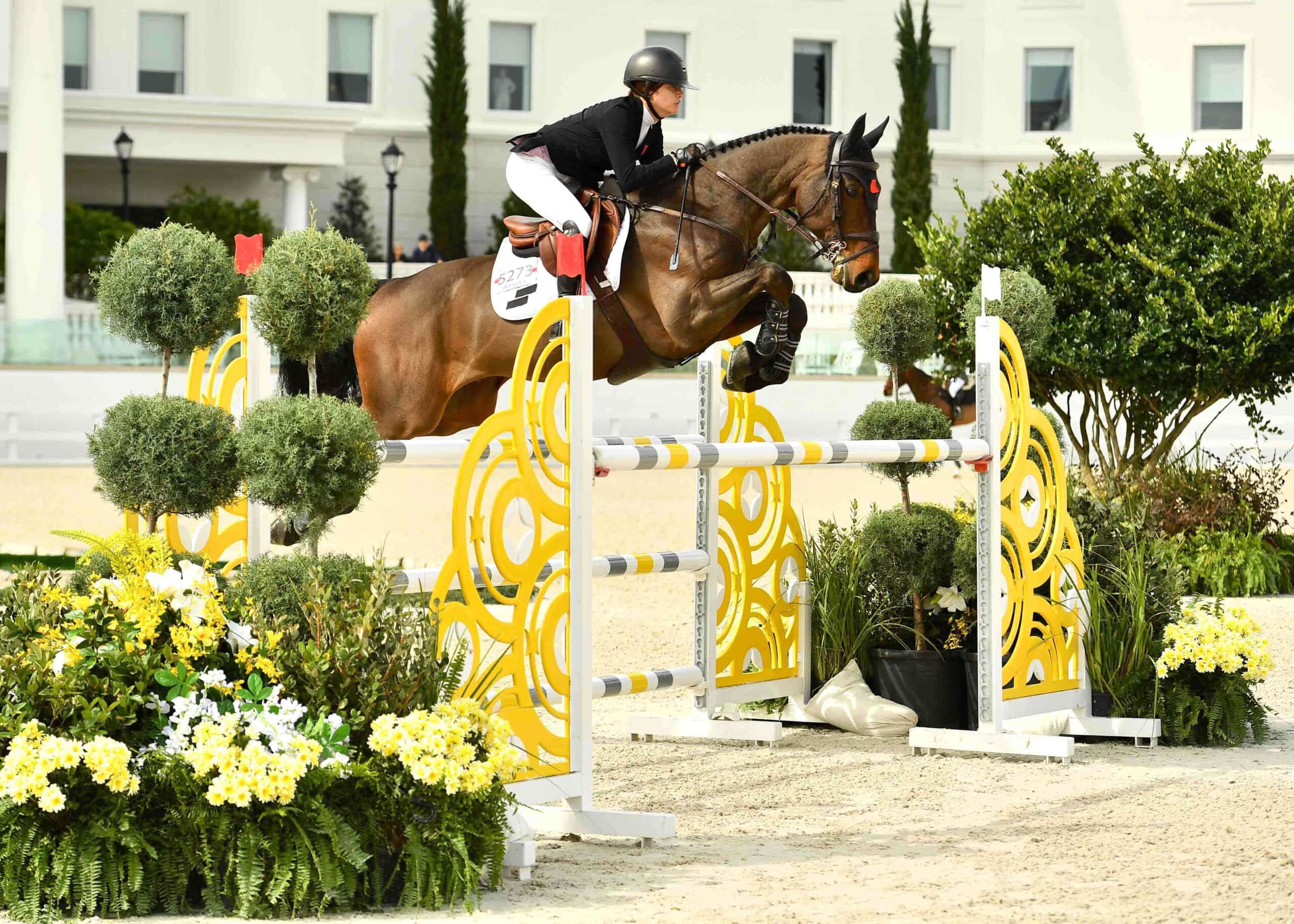 bretton chad jumping with nubikk