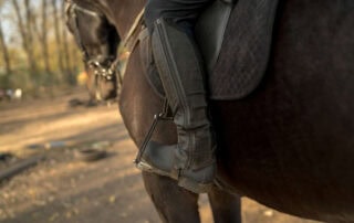 peacock-stirrups-for-horses