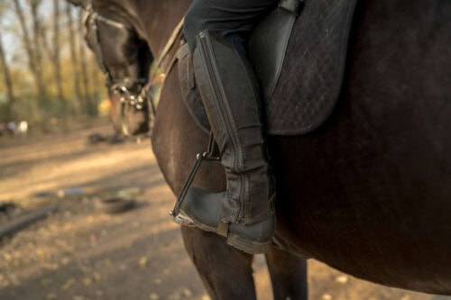 Peacock Stirrups for Horses: How They Work, Safety Concerns & Modern Alternatives