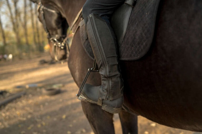 peacock-stirrups-for-horses