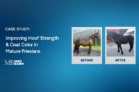 Field Study: Omneity® for Improved Hoof Growth & Coat Color in Mature Friesians
