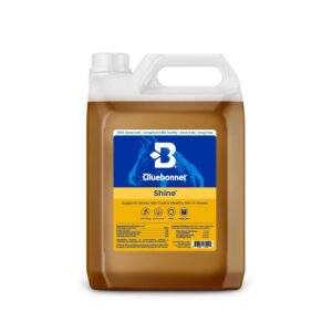 Shine (Bluebonnet Feeds)