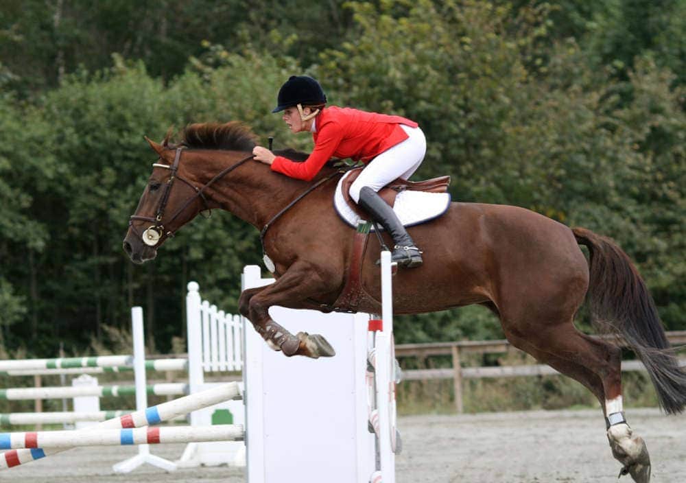 photo of horse jumping bascule centered over vertical