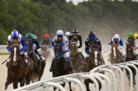 Belmont Stakes Horse Race: History, Distance, Winners & Triple Crown Champions