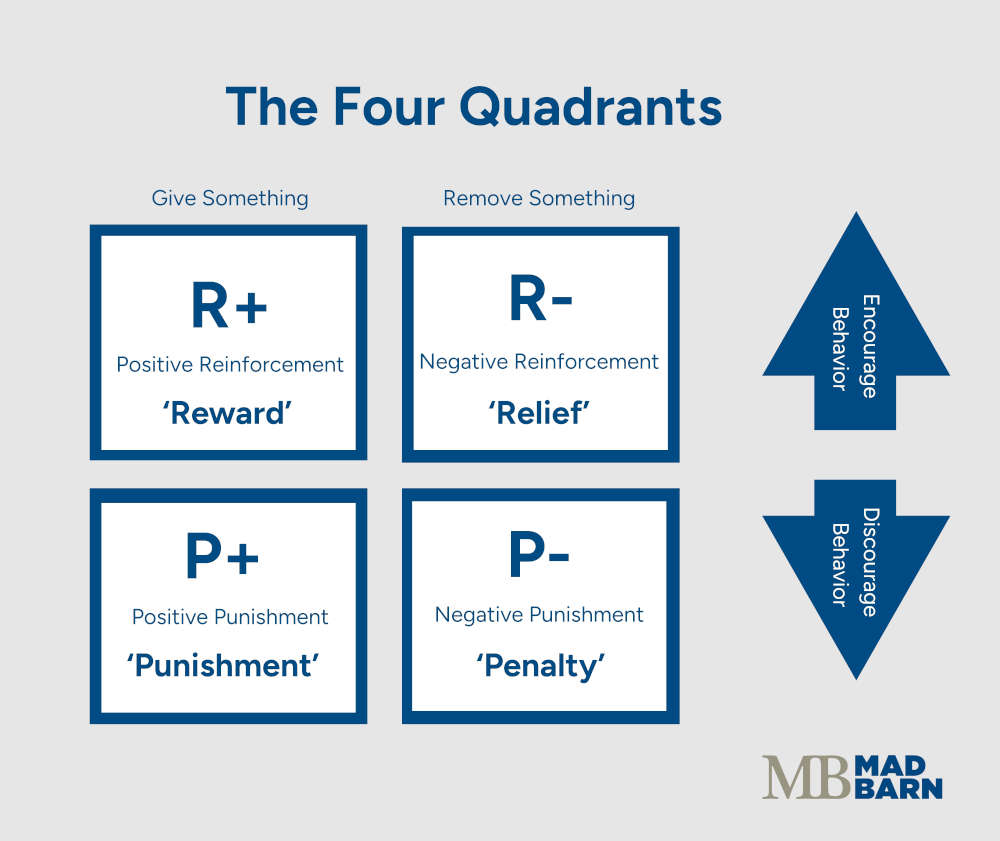 diagram outlining the four quadrants of horse training