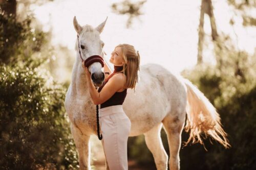 Equisul-SDT® (Trimethoprim Sulfadiazene) for Horses: Uses, Side Effects & Status in Competition