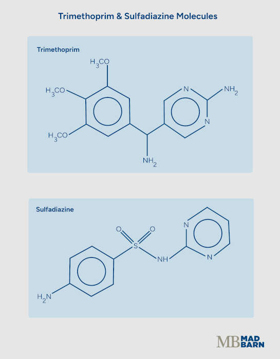 illustration of trimethoprim and sulfadiazine molecules