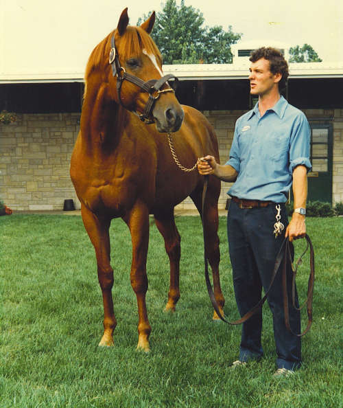 photo of kentucky derby winner affirmed in 1981