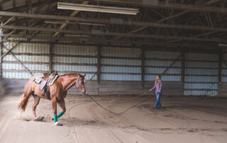 arena footing for horse training