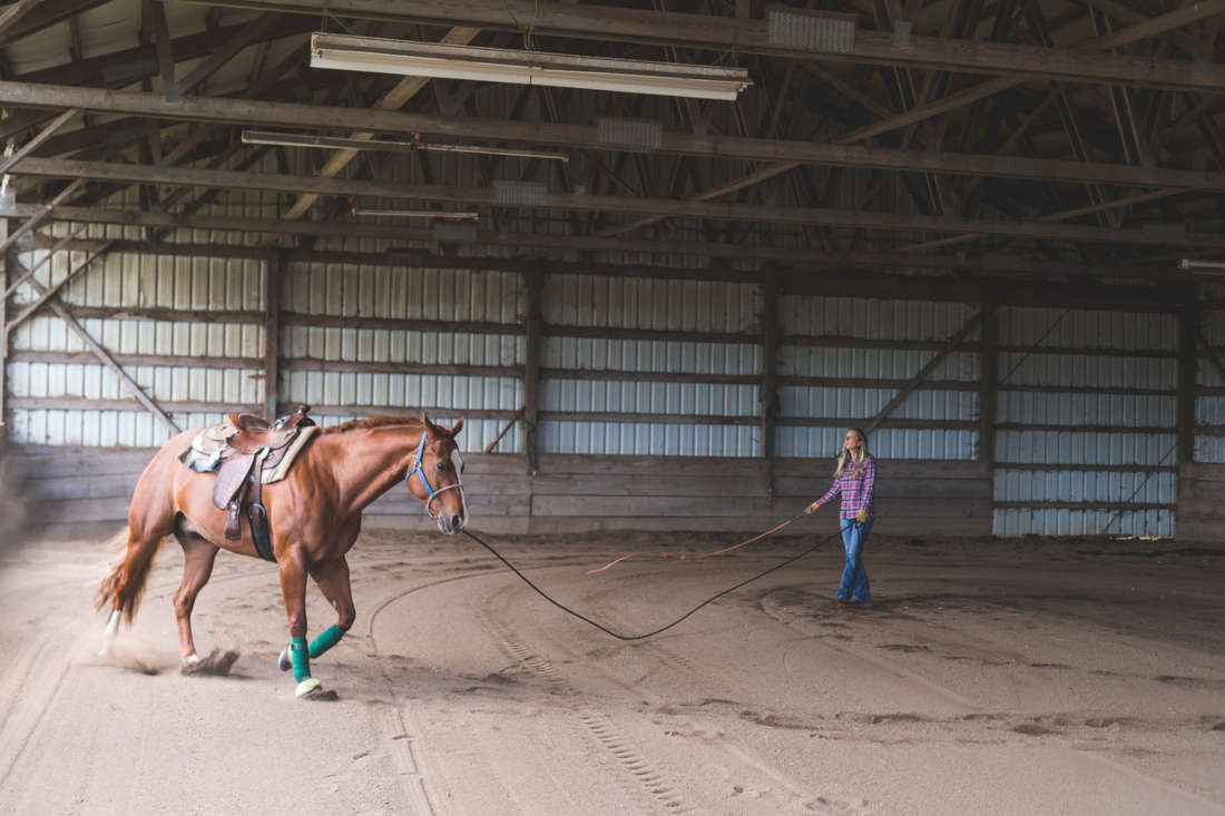 Arena Footing for Horses: Types, Materials, and How to Choose the Best Surface