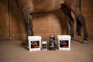What’s the Best Gut Supplement for Your Horse?