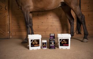 best gut supplements for horses