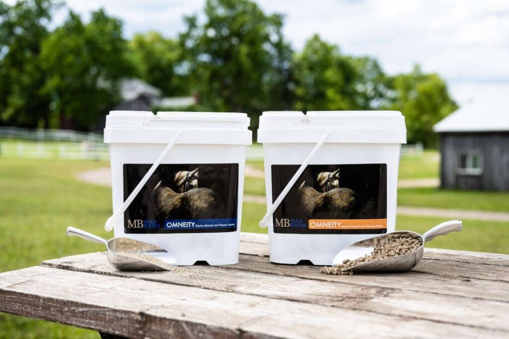 What is the Best Hoof Supplement for Your Horse?