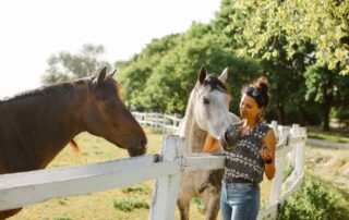 caffeine-poisoning-in-horses