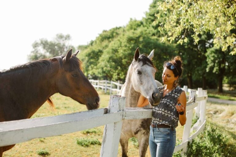 caffeine-poisoning-in-horses