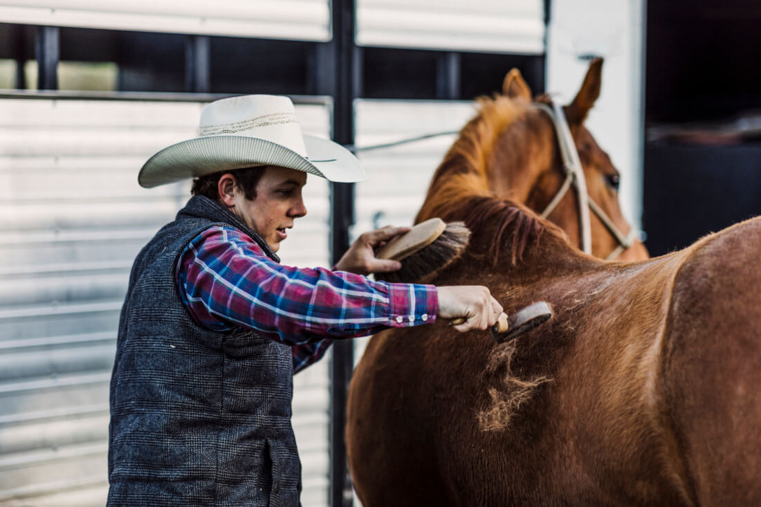 Horse Grooming Brushes: Which Brush Is Best for Your Horse?