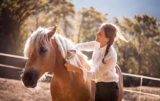 guide-to-horse-mane-brushes