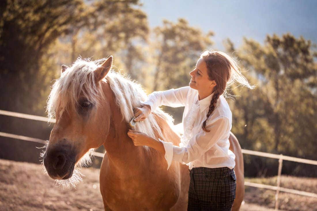 Guide to Horse Mane Brushes: Types, Uses & Choosing the Best Mane Brush