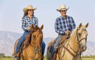 horse-idioms-in-north-america