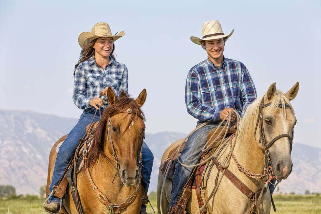 Horse Sayings & Their Meanings: Common Equine Idioms Explained