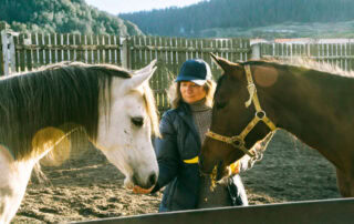 hydroxyzine-in-horses