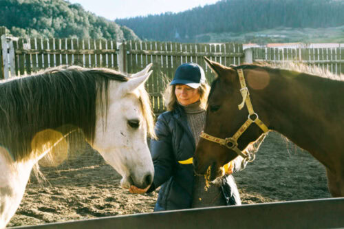 Vistaril® (Hydroxyzine) for Horses: Uses, Side Effects & Status in Competition