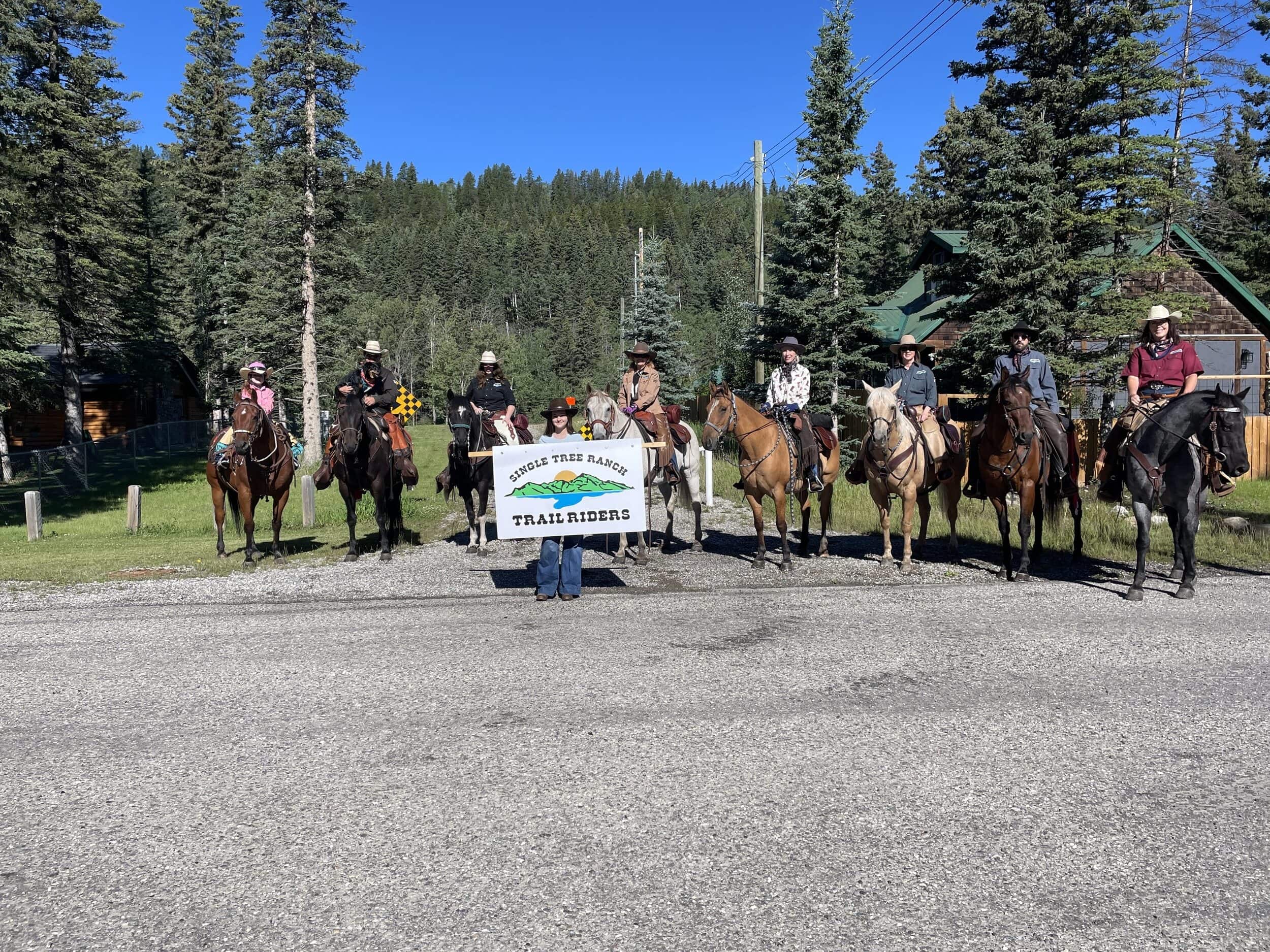 Nicky Matheson - Boarding Stable