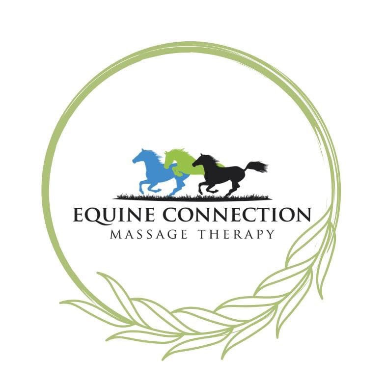 Natalija Erakovic - Equine Massage Therapist