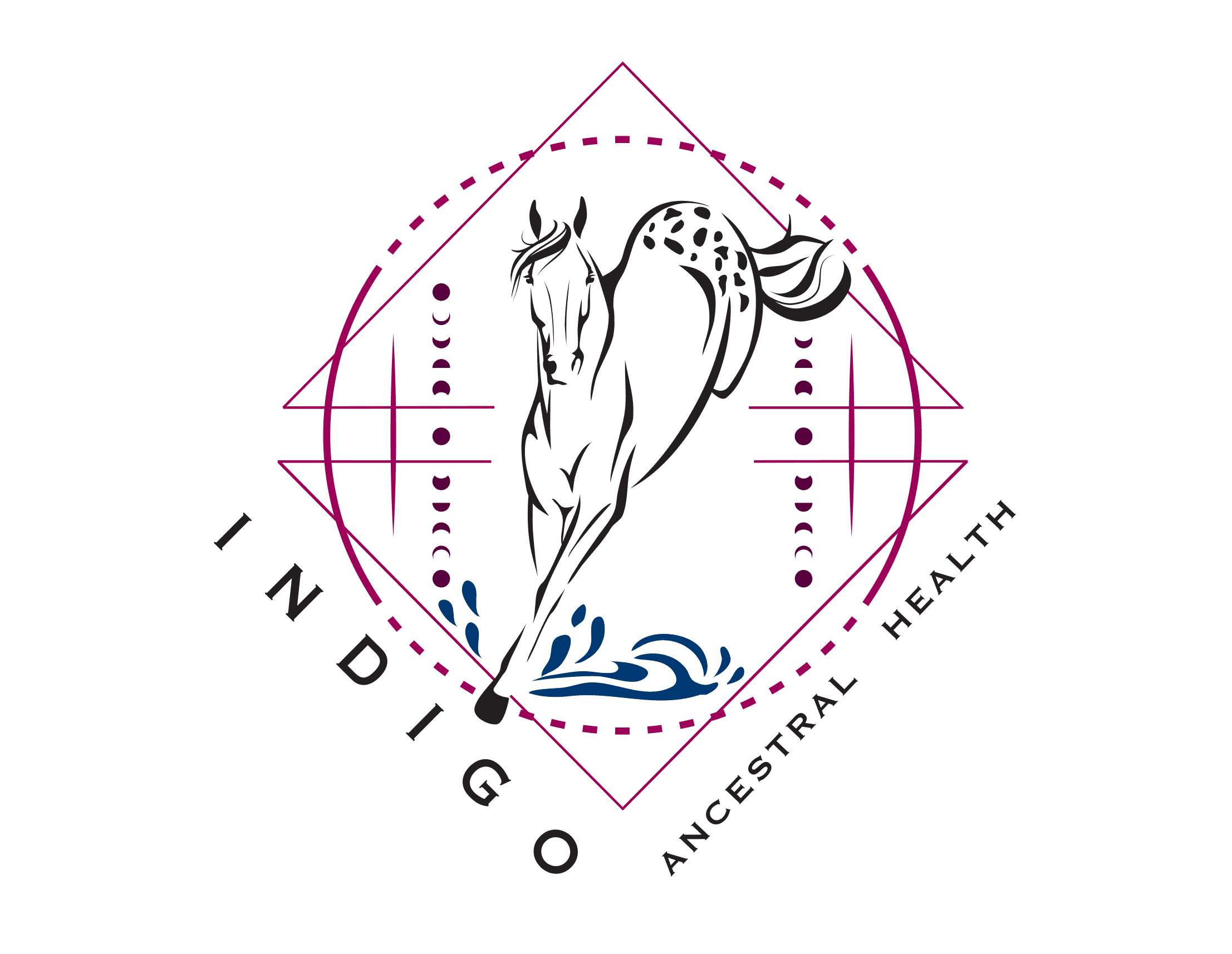 Stephanie Carter, FNTP, IHP, BCHN - Equine Nutritionist