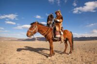 Kazakh Horse Breed Guide: Characteristics, Health & Nutrition