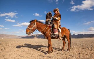 kazakh-horse-breed-guide
