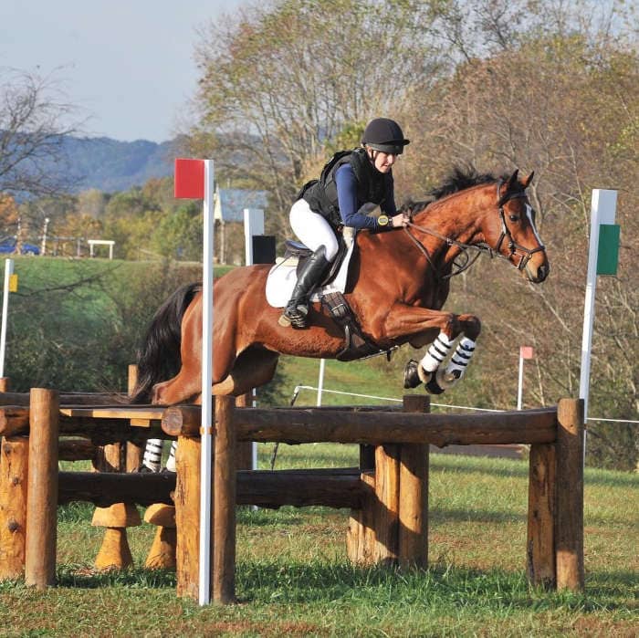photo of claudia iannuccilli riding horse regan