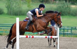 riding-combinations-and-lines