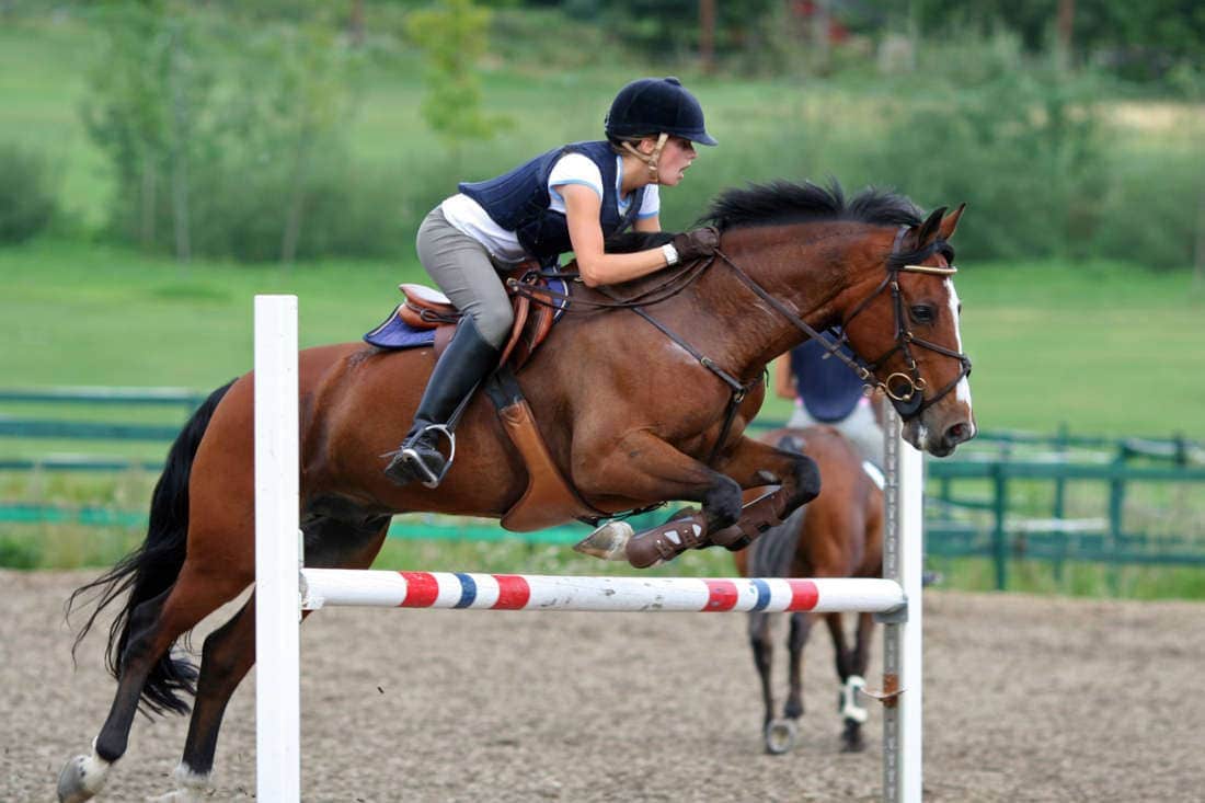 Riding Show Jumping Lines & Combinations: Training Exercises & Understanding the Course