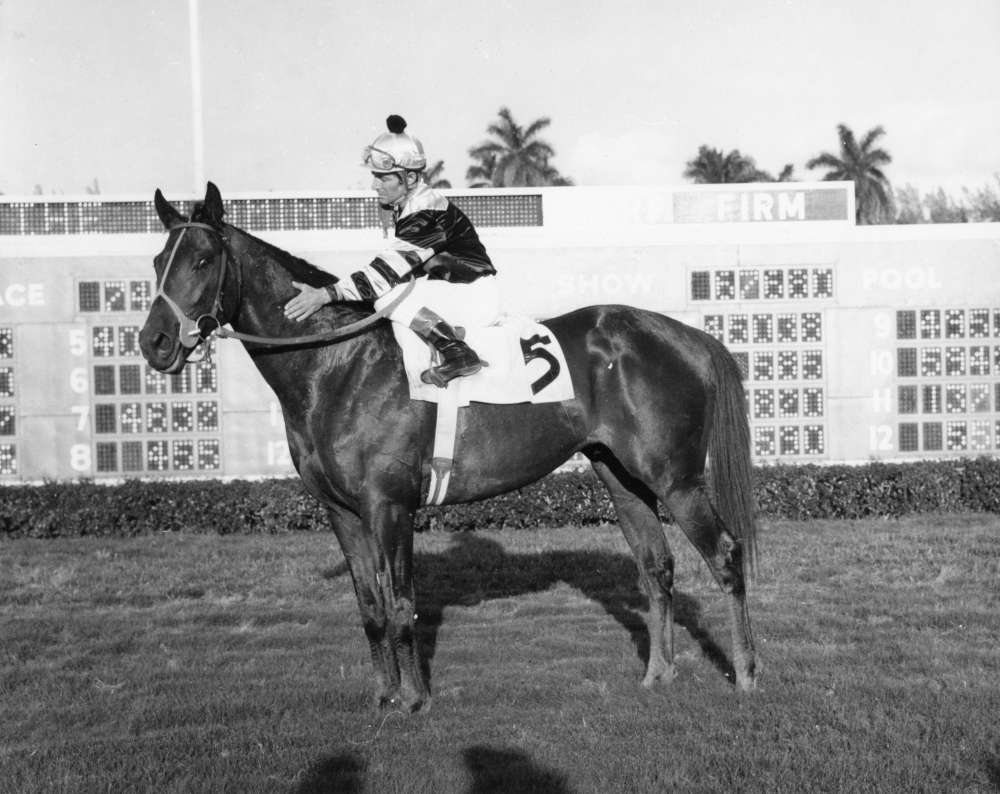 photo of seattle slew 1977