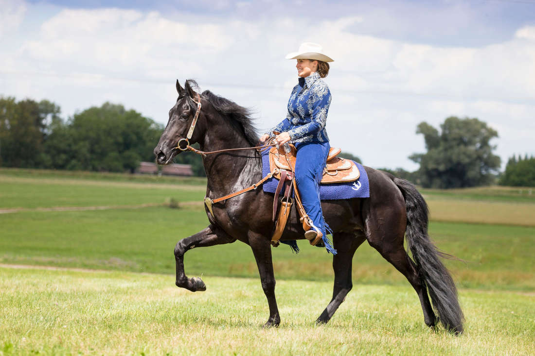Soring in Horse Showing: Practices, Welfare Effects & Regulation