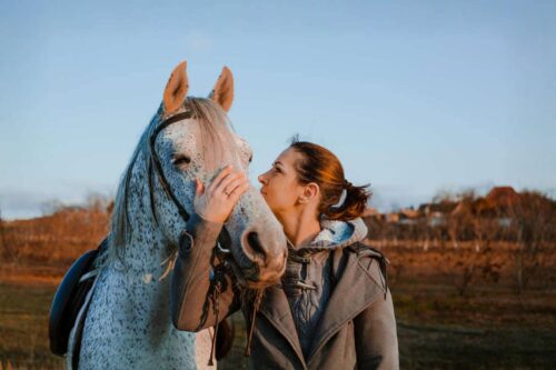 Spasmodic Colic in Horses: Symptoms, Risk Factors & Treatment