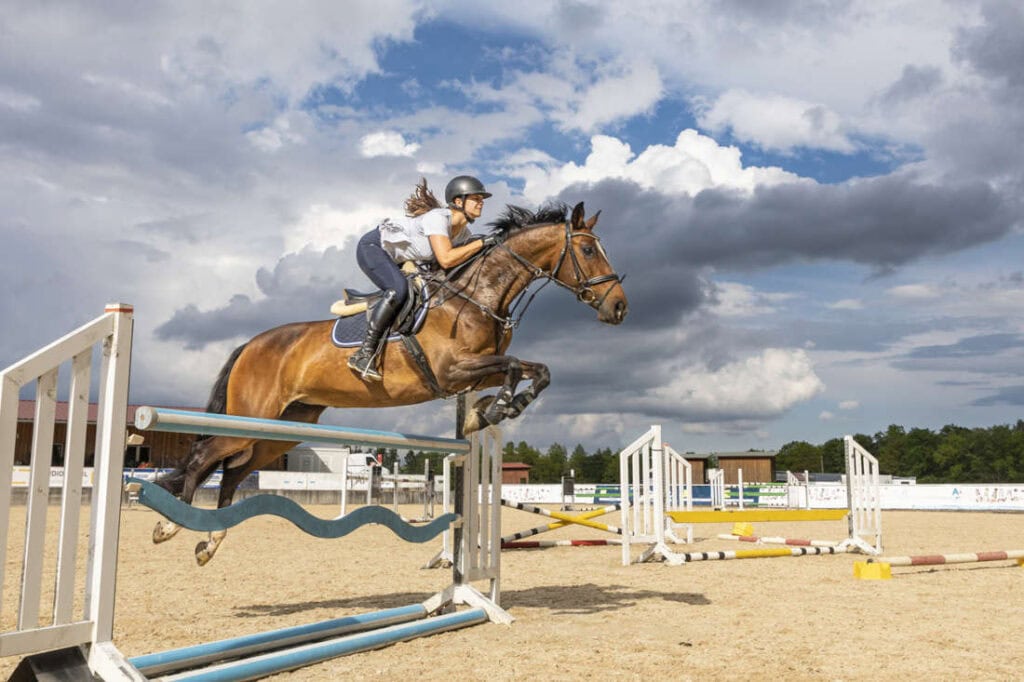 Stride Adjustability in Horses: Exercises to Improve Jumping Performance