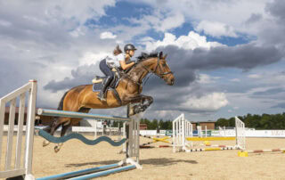 stride-adjustability-exercises-for-jumping-horses